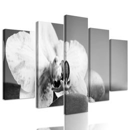 5-dielny obraz zaujímavo sfarbená orchidea a Zen kamene v čiernobielom prevedení