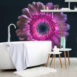 Originálna samolepiaca tapeta gerbera na tmavom pozadí