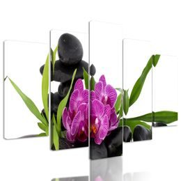 5-dielny obraz krásny kvet orchidei v SPA zátiší