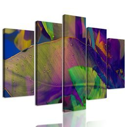 5-dielny farebné listy