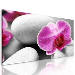 Obraz biele Zen kamene