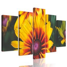 5-dielny obraz pôvabné sfarbené kvety