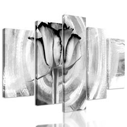 5-dielny obraz ruža na maľovanom pozadí v čiernobielom prevedení