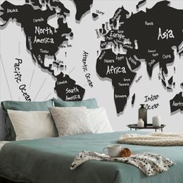 Tapeta zaujímava mapa sveta