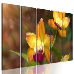 5-dielny obraz unikátna zlatá orchidea
