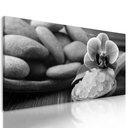 Obraz wellness zátišie s morskou soľou v čiernobielom prevedení