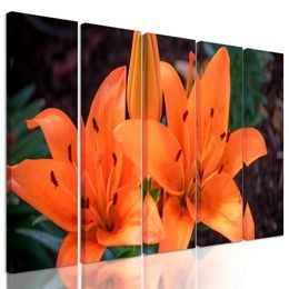 5-dielny obraz oranžová dália