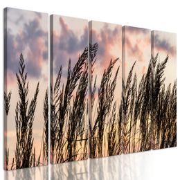 5-dielny obraz poľná tráva s nebeským pozadím