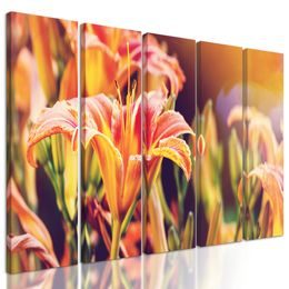 5-dielny obraz ľalia v slnečnom svite