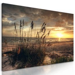 Obraz západ slnka z pláže