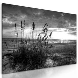 Obraz čiernobiely západ slnka z pláže
