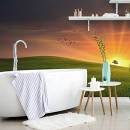 Fototapeta rozprávková lúka so zapadajúcim slnkom