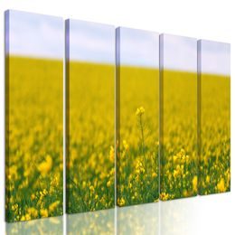 5-dielny obraz rozkvitnutá lúka