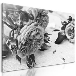 Obraz jemnosť ruží v čiernobielom prevedení