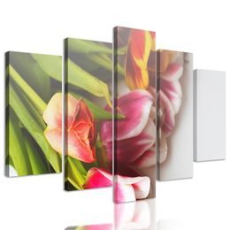 5-dielny obraz nádherne sfarbené tulipány