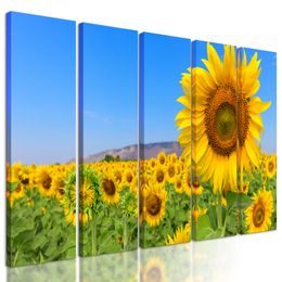 5-dielny obraz žlté slnečnice pod modrou oblohou