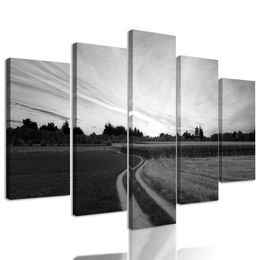 5-dielny obraz zapadajúce slnko nad krajinou v čiernobielom prevedení