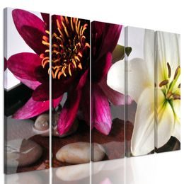 5-dielny obraz kvety a sila Zen kameňov