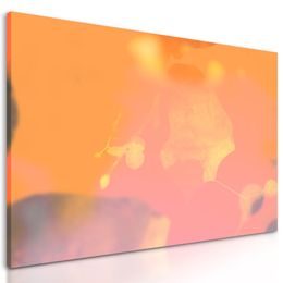 Obraz lipový list pri západe slnka