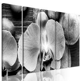 5-dielny obraz orchidea a Zen kamene na drevenom pozadí v čiernobielom prevedení