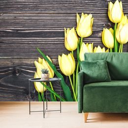 Fototapeta žlté tulipány v elegantnom prevedení