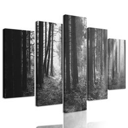 5-dielny obraz slnko predierajúce sa medzi korunami stromov v čiernobielom prevedení