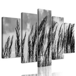 5-dielny obraz poľná tráva s nebeským pozadím v čiernobielom prevedení