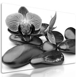 Obraz ploské wellness kamene v čiernobielom