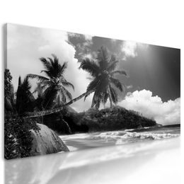 Obraz nádherné Seychely v čiernobielom prevedení