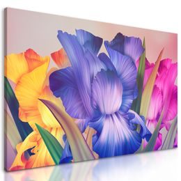 Obraz nádherné pestrofarebné kvety