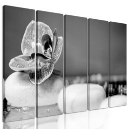 5-dielny obraz zaujímavé biele Zen kamene v čiernobielom prevedení