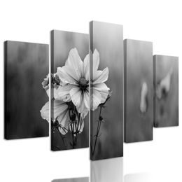 5-dielny obraz kvitnúce lúčne kvety v čiernobielom prevedení