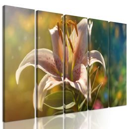 5-dielny obraz kvitnúci kvet