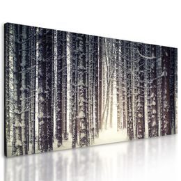 Obraz les v zimnom období