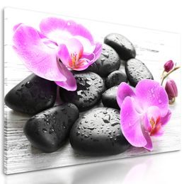 Obraz harmónia orchidey a kameňov