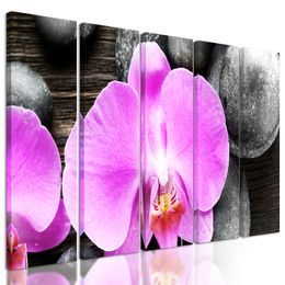 5-dielny obraz orchidea a Zen kamene na drevenom pozadí