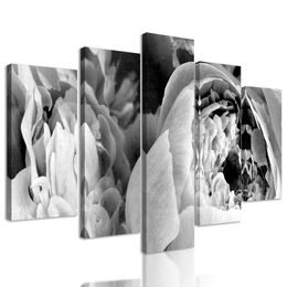 5-dielny obraz detail na kvety v čiernobielom prevedení