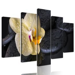 5-dielny obraz lávové kamene a zaujímavá orchidea