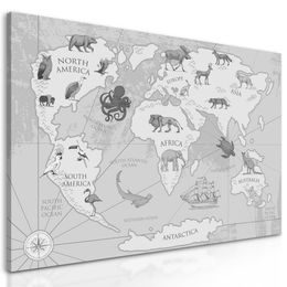 Obraz kreslená mapa sveta s zvieratami v čiernobielom prevedení