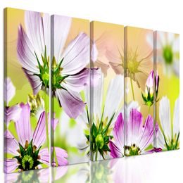 5-dielny obraz jemnosť kvetov
