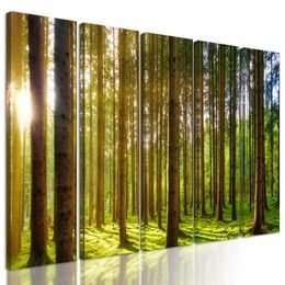 5-dielny obraz lúče slnka medzi stromami