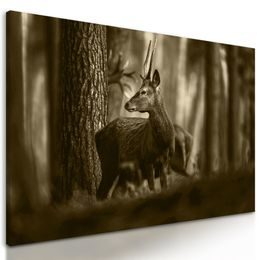 Obraz mladý jeleň uprostred lesa v sépiovom prevedení