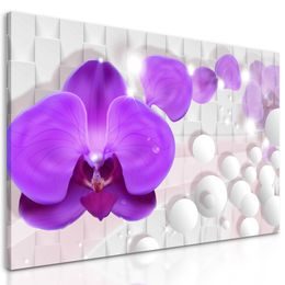 Obraz orchidea na elegantom pozadí