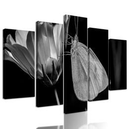 5-dielny obraz nočný motýľ v čiernobielom prevedení