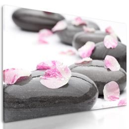 Obraz  lupienky kvetu na zen kameňoch