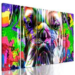 5-dielny obraz buldog v pop art prevedení