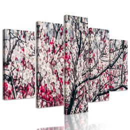 5-dielny obraz nádherne kvety v červenobielom prevedení