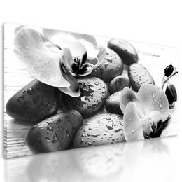 Obraz wellness kamene a orchidea po daždi v čiernobielom prevedení
