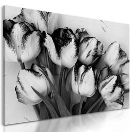 Obraz rozkvitnuté tulipány v čiernobielom prevedení