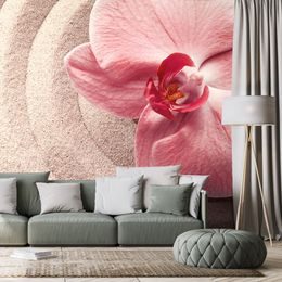 Samolepiaca fototapeta harmónia orchidey s pieskom